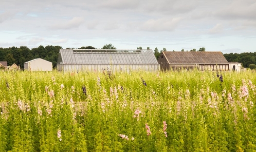 Bestemmingswijziging levert belastbare winst op